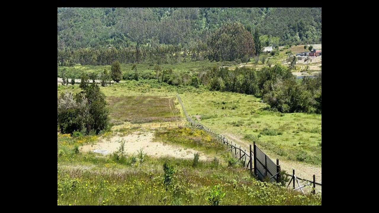 copy 84EAF01F B337 4B4B 8B81 D5FA11DCFB56
