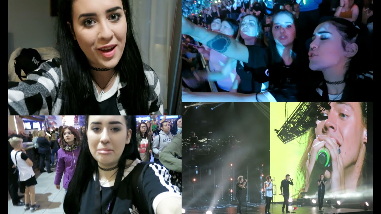 COSE ILLEGALI AL CONCERTO DEI 1D | VLOG 30/09/2015
