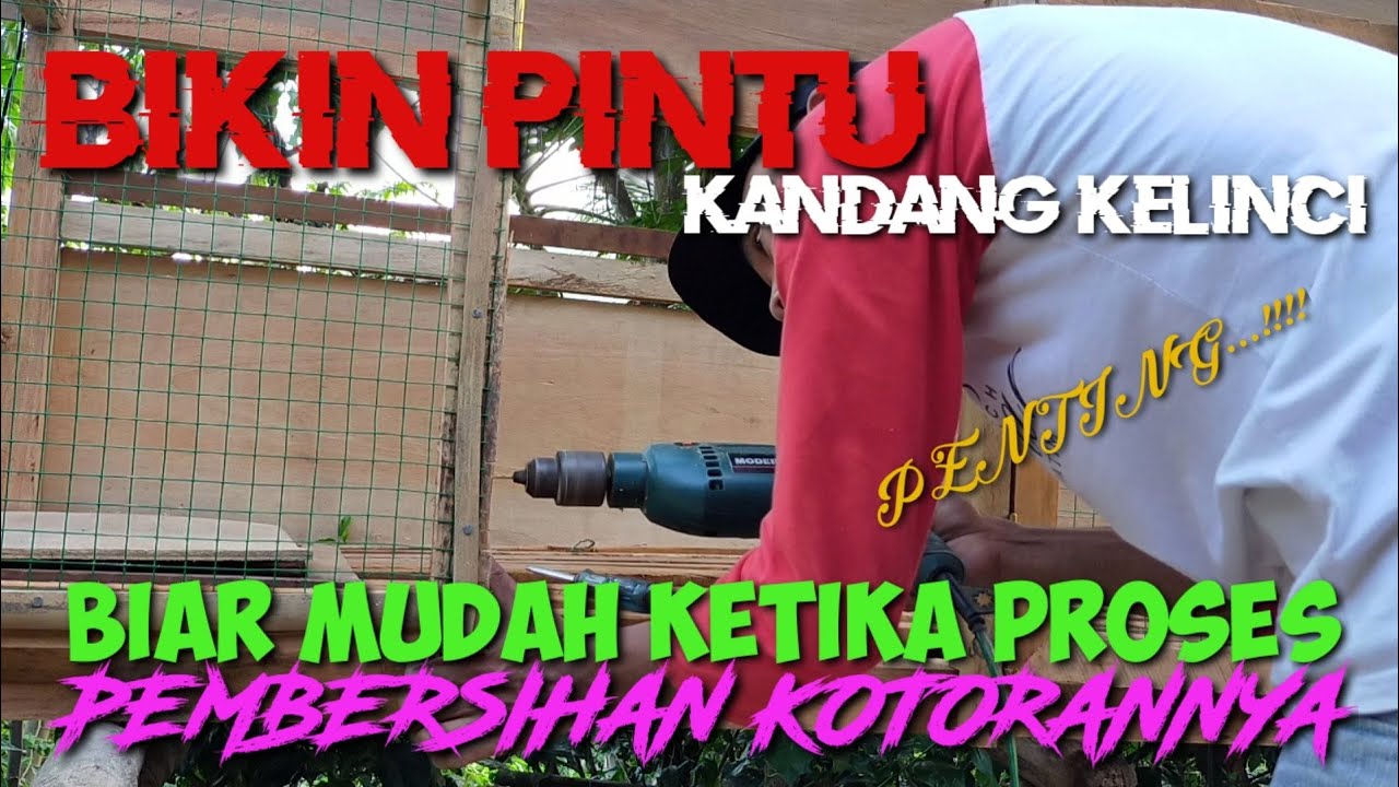 BIKIN PINTU KANDANG KELINCI - BIAR MUDAH KETIKA PROSES PEMBERSIHAN KOTORAN
