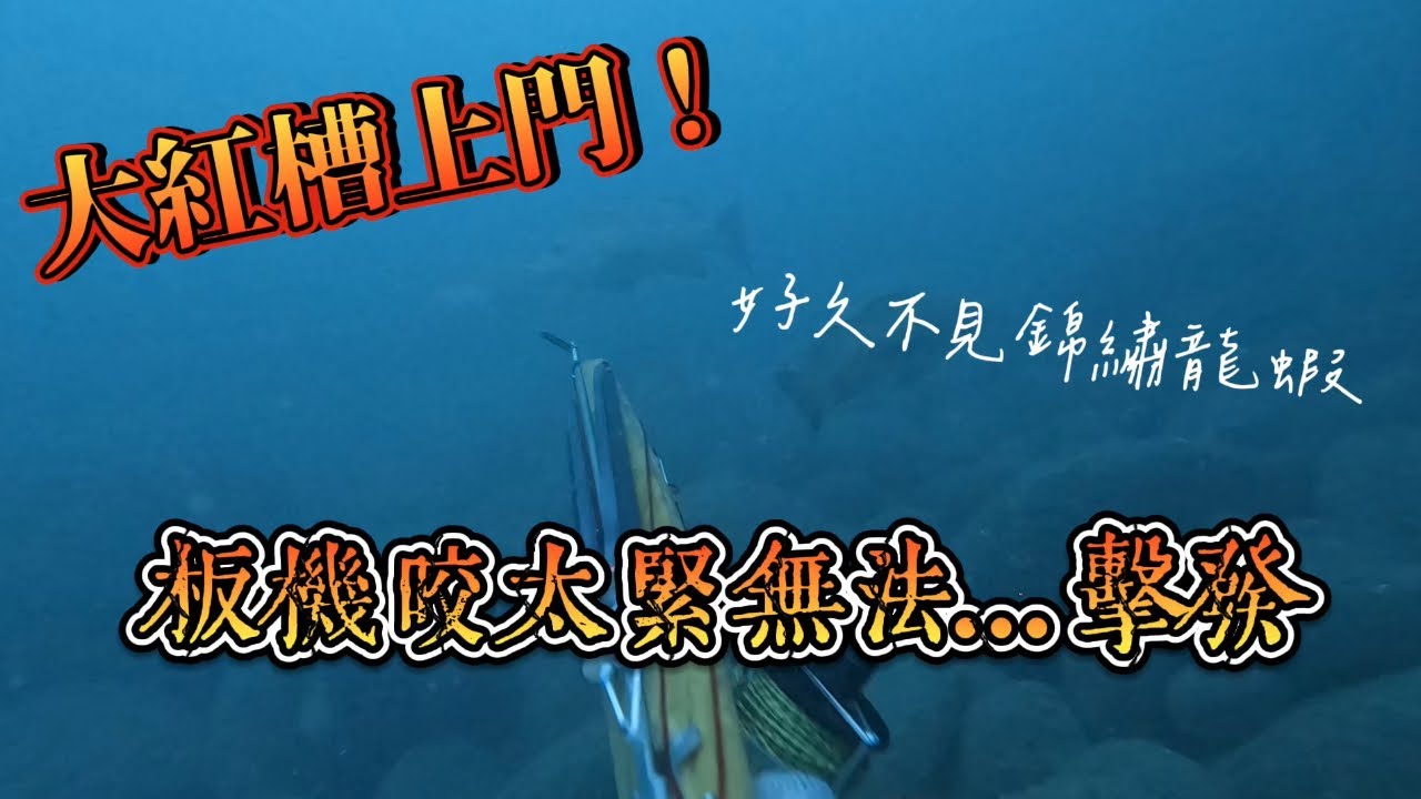 【海野人 Spearfishing 】高雄漁獵 003稀有高清 注意小心廢網 請愛護我們的海 #自由潛水 #漁獵 #打漁 #打魚 #潛打 #高雄 #加志魚 #黑格 #紅槽 #石斑 #海雞母 #黑點