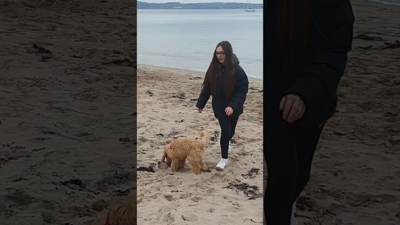 Bella's day out... take 2