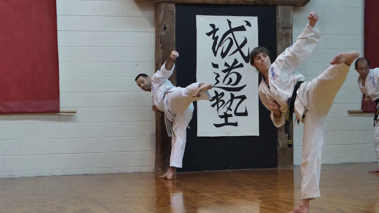 Seido Karate Auckland 2020 - 2