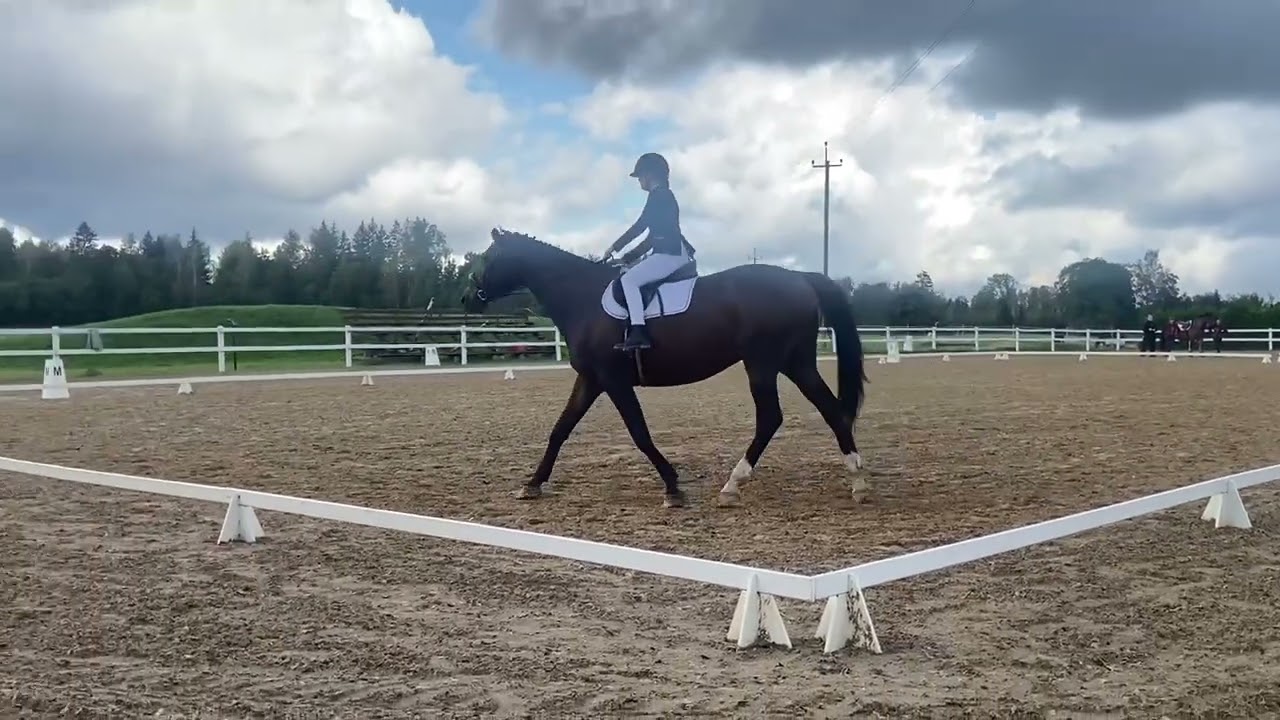 my first dressage competition