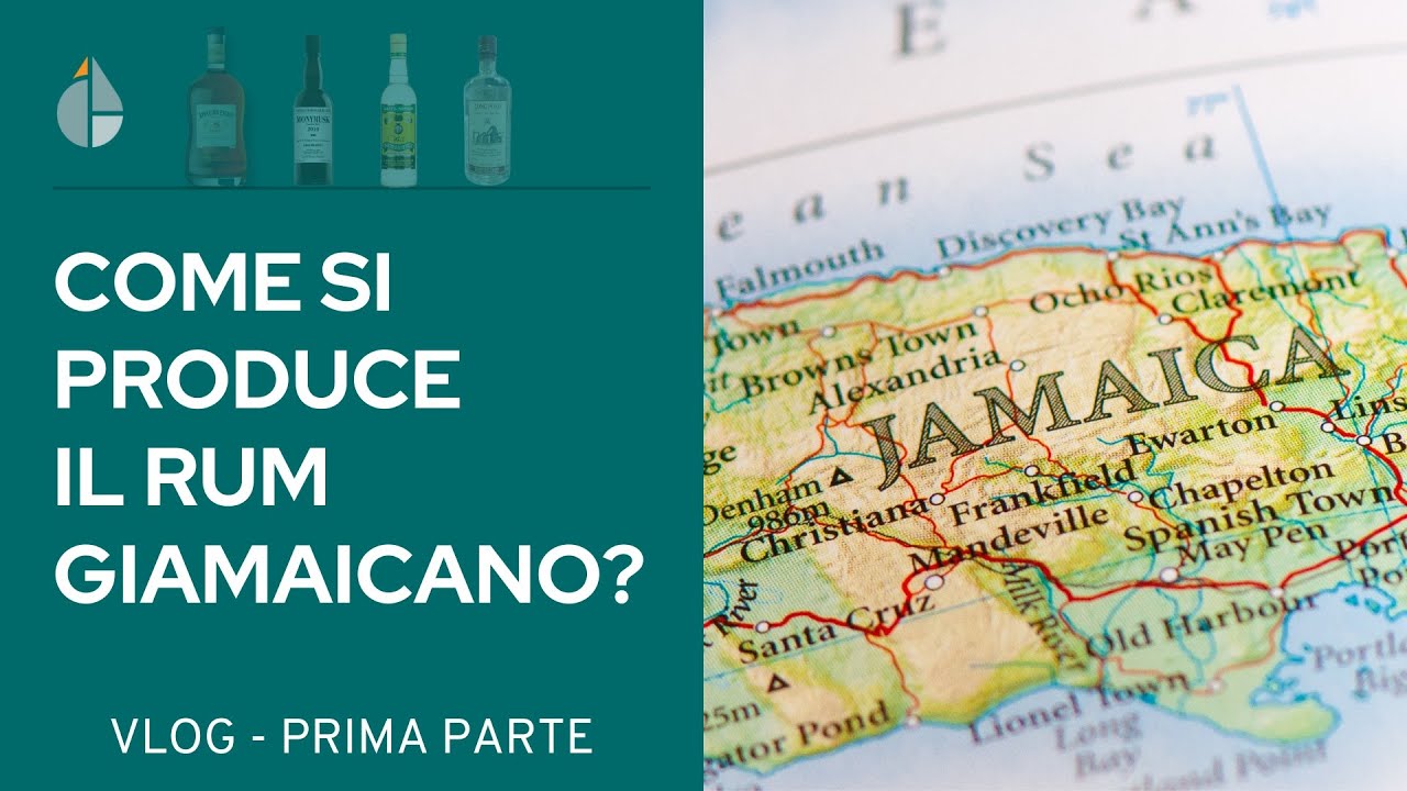 🇯🇲 Siamo stati in GIAMAICA in un viaggio alla scoperta delle sue distillerie! [PRIMA PARTE]
