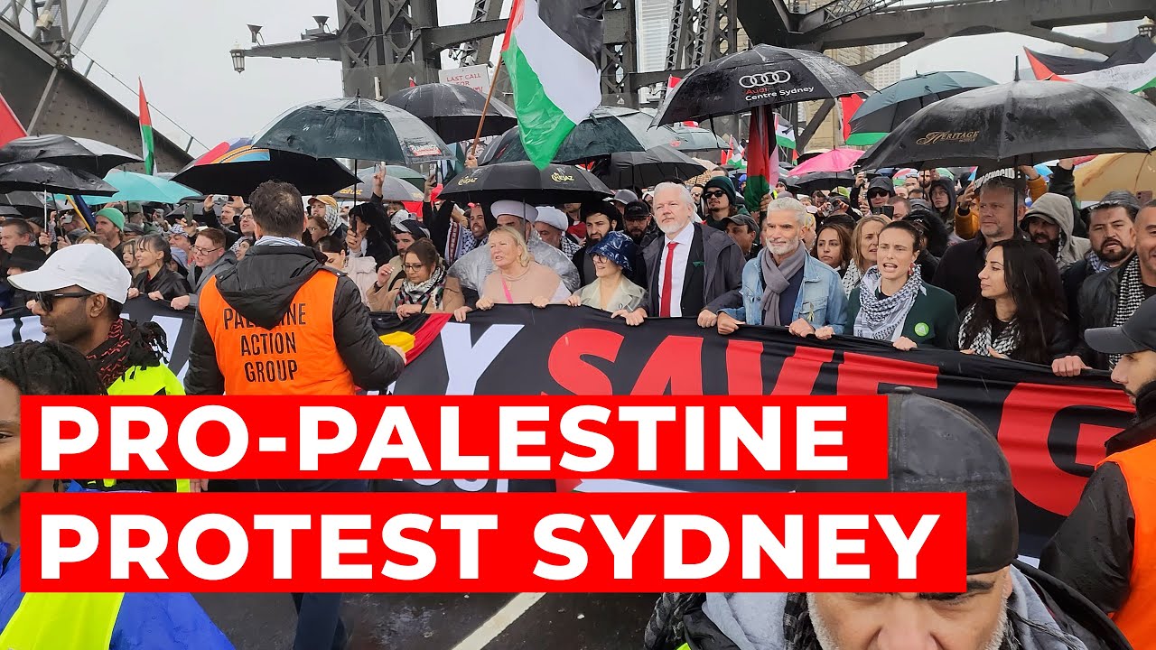 Pro-Palestine Protest Sydney #freepalestine #palestine