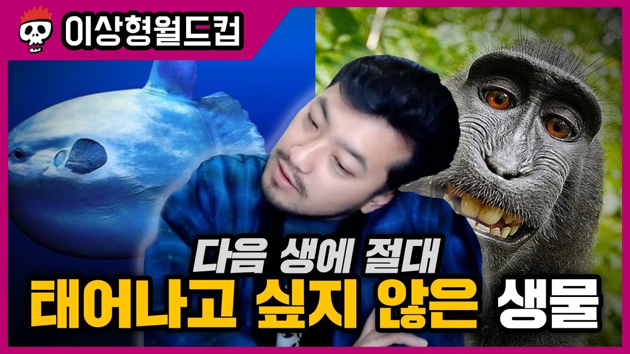 다음 생에 절대 태어나고 싶지 않은 생물 월드컵