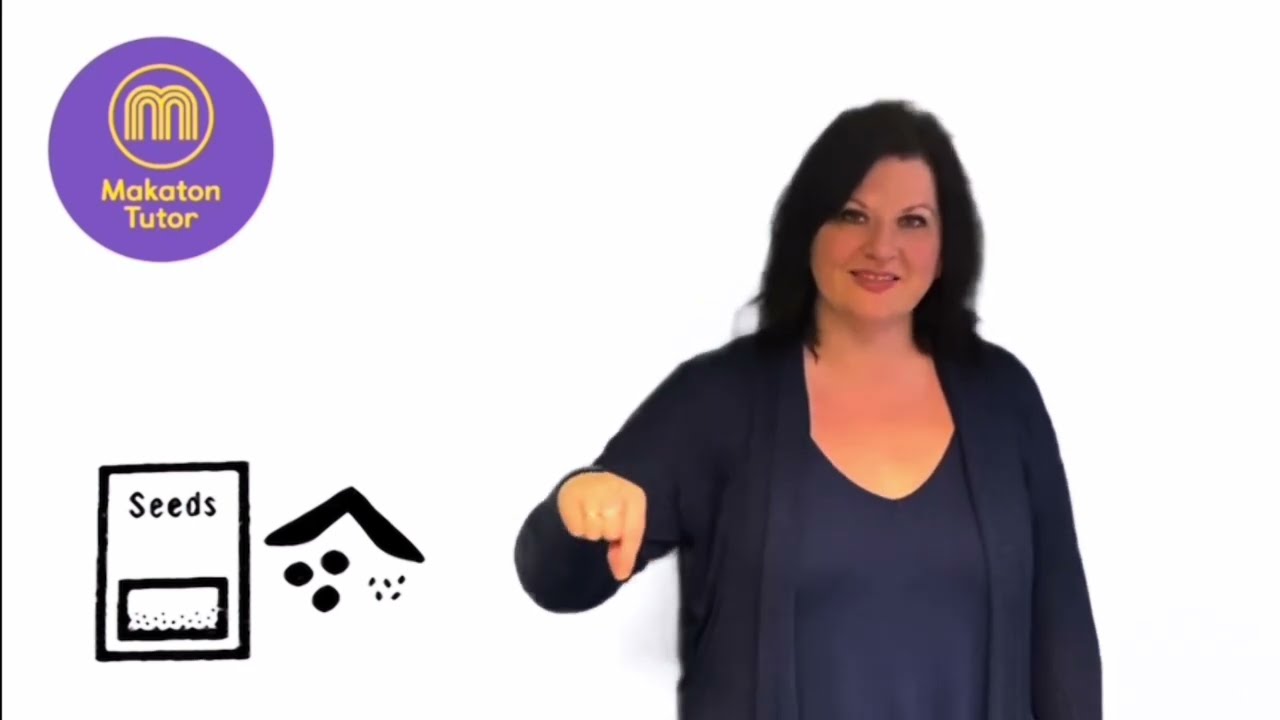 ‘Seeds’ #motivationalmakaton #makaton #communication #seeds
