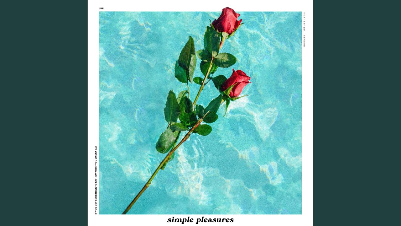 Simple Pleasures (feat. Shaker)