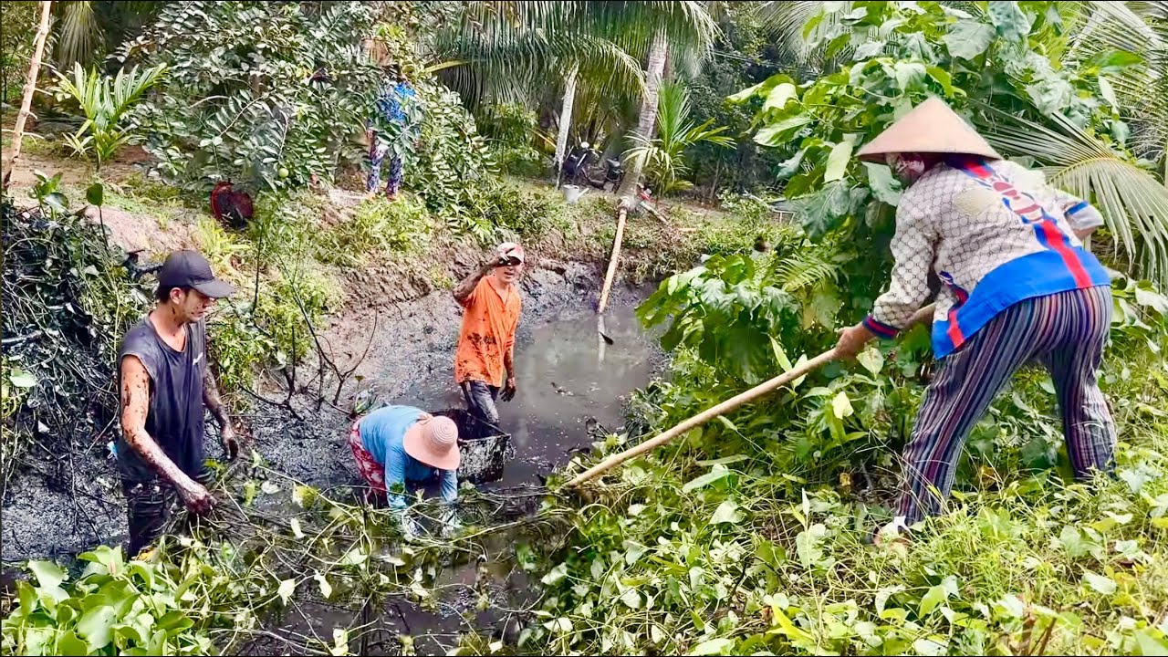 CẢ XÓM TỚI COI TÁT MƯƠNG LÂU NĂM BẮT CÁ GẦN 20 KÝ - CHÒI LÁ QUÊ # T 157 