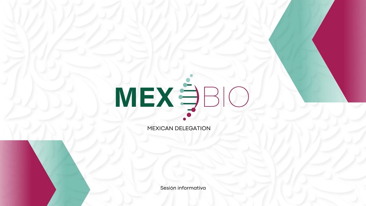 BIO 2026: sesión informativa 3