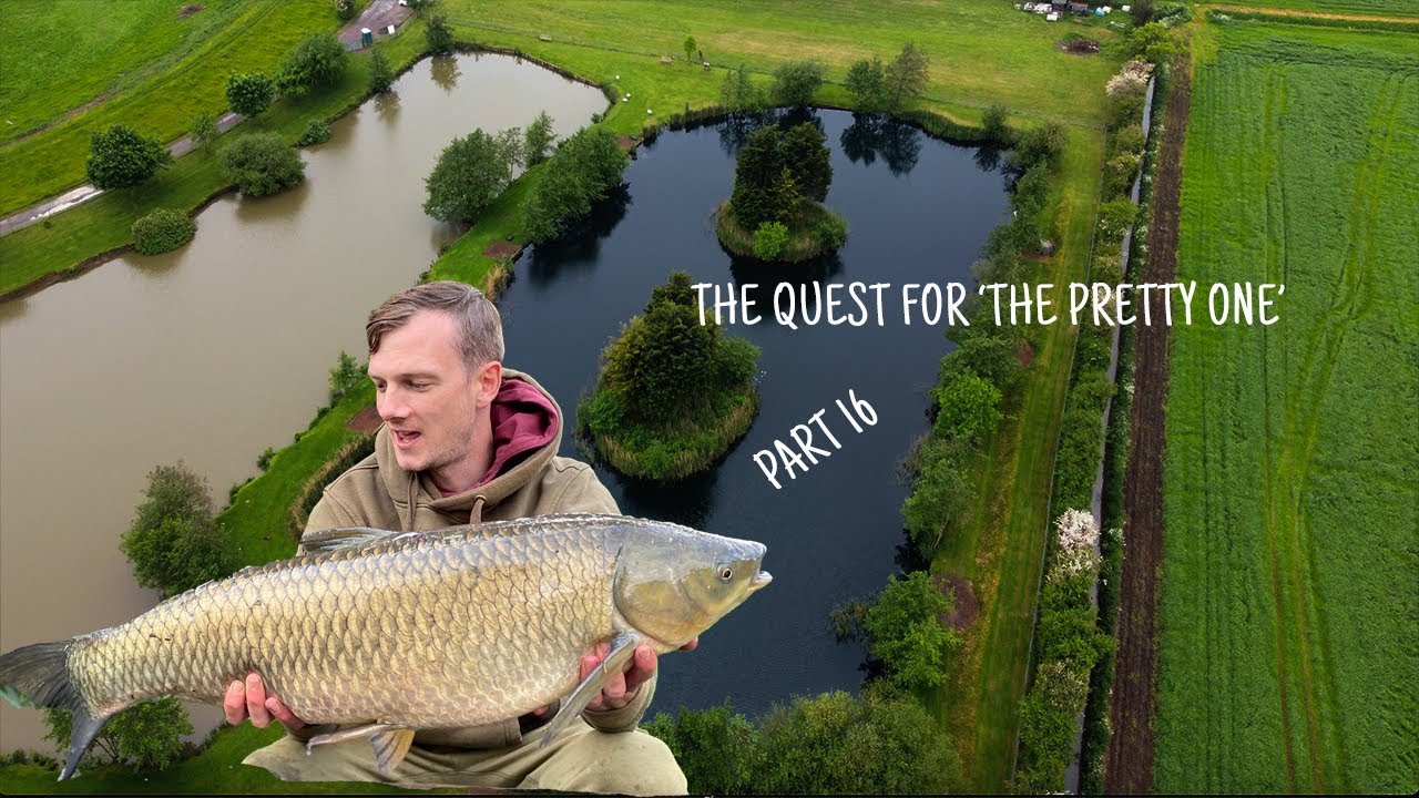 Newhay Lakes   The Quest For 'The Pretty One' || 16 || Carp Fishing