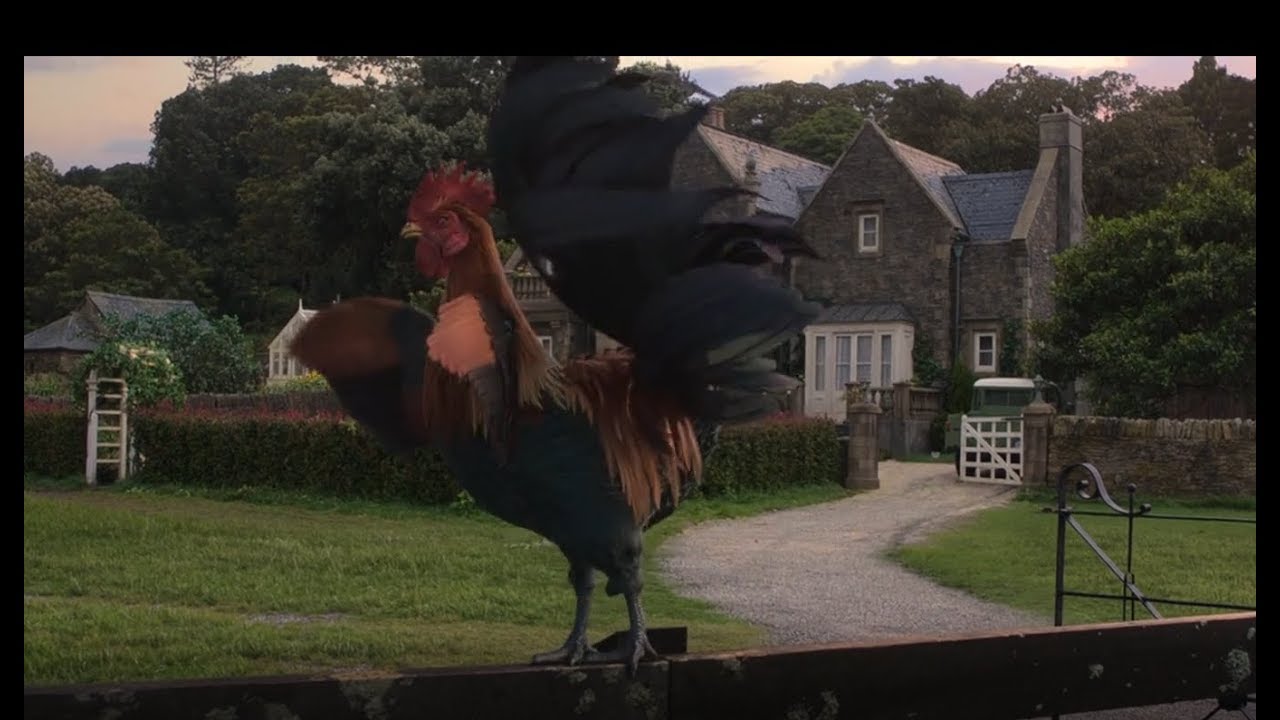 Peter Rabbit - Escenas del Gallo Castellano