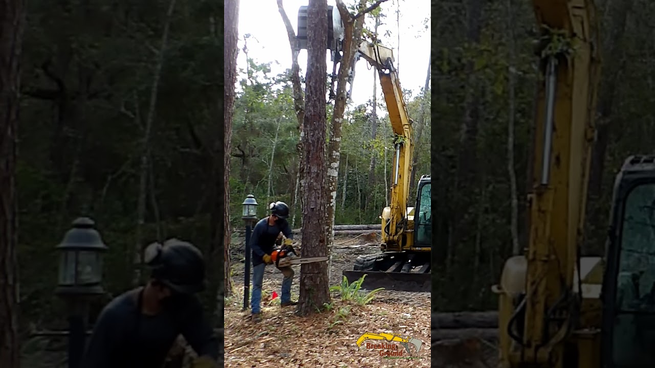 Tree work is easy for Breaking Ground 
