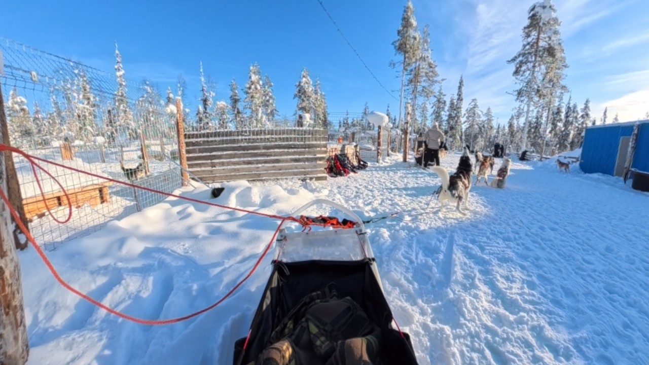 Husky Dog Ride - Levi, Finland 2026 (Cropped, Forward View)