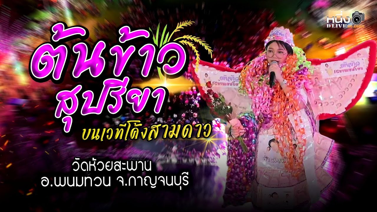 ต้นข้าวสุปรียา 🌾🌾🌾 🔴 วัดห้วยสะพาน ต.หนองโรง อ.พนมทวน จ.กาญจนบุรี 