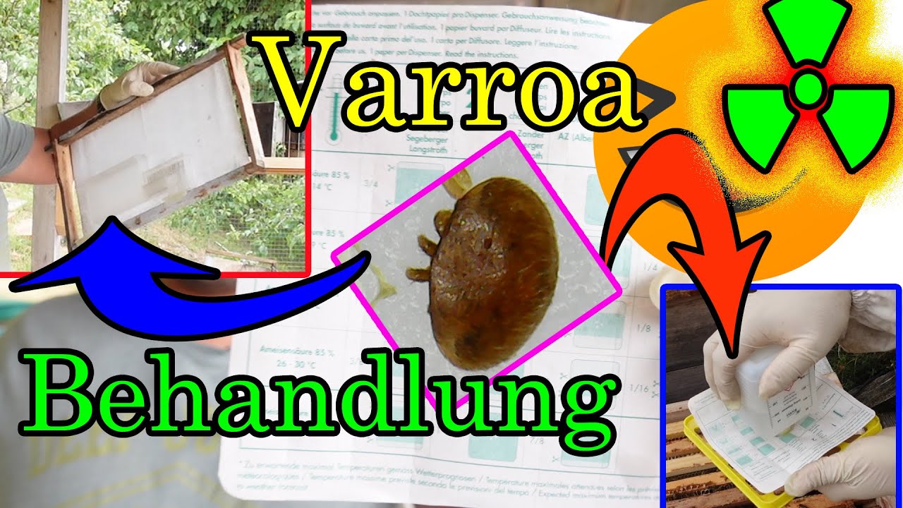 Varroa Behandlung mit Ameisensäure, Imkern wie da Jupp