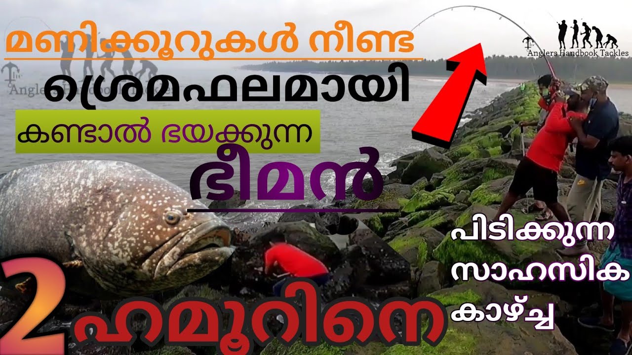 വറ്റ, ചെമ്പല്ലി, ഹമൂർ മച്ചാനെ അത് പോരെ അളിയാ... |Hamour fishing...