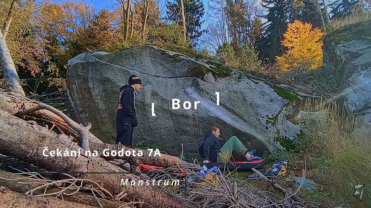 Čekání na Godota 7A - Bor