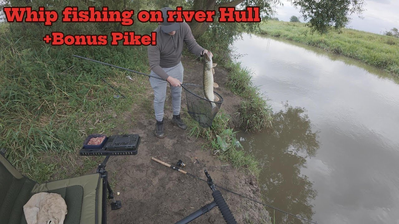 whip fishing on River Hull +Bonus Pike (august 2025) longer video.