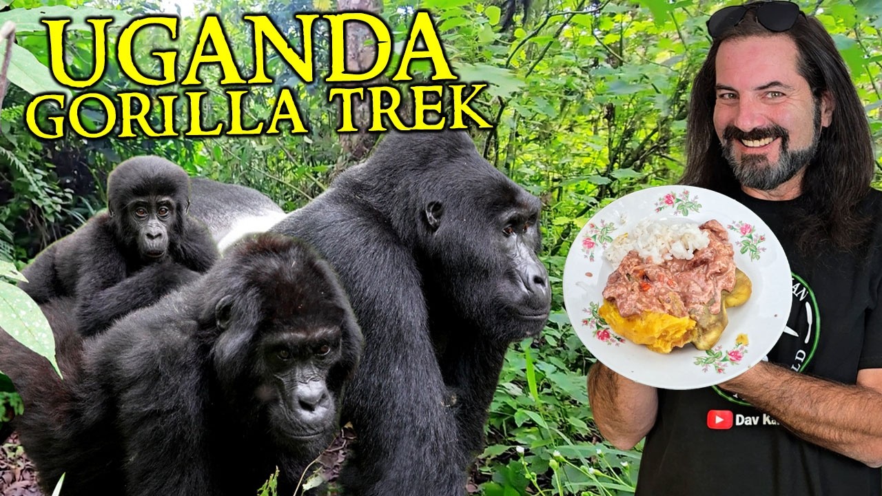Eating with MOUNTAIN GORILLAS in Uganda!