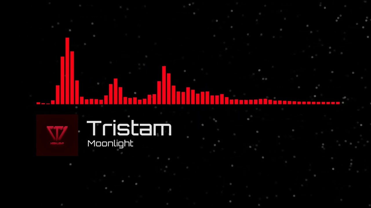 [DnB] Tristam - Moonlight [Extended Drop]