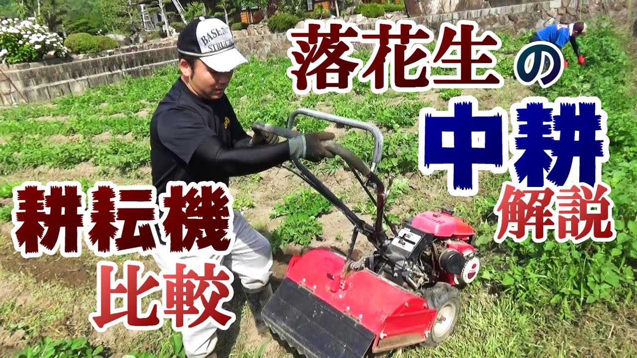 落花生の中耕作業＆耕耘機を比較してみた