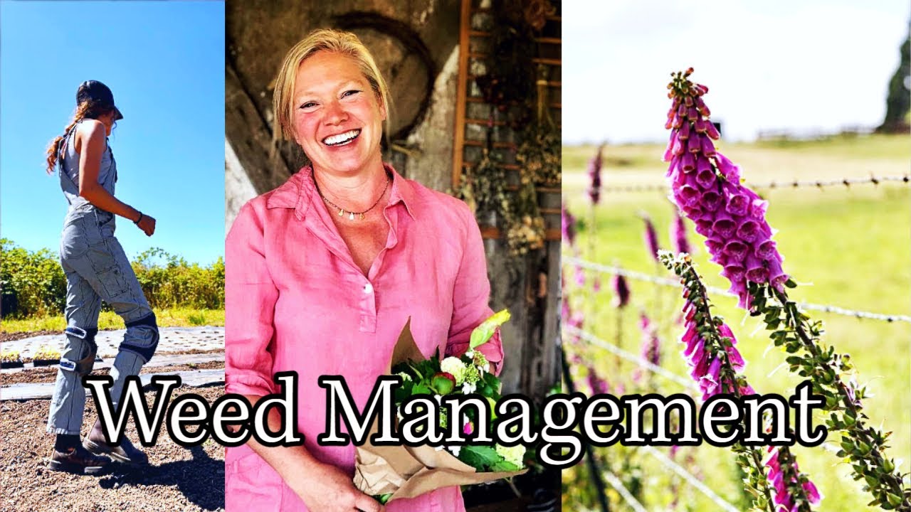 Weed Management On The Farm | A look at the greenhouse | A chat with about our wedding event.