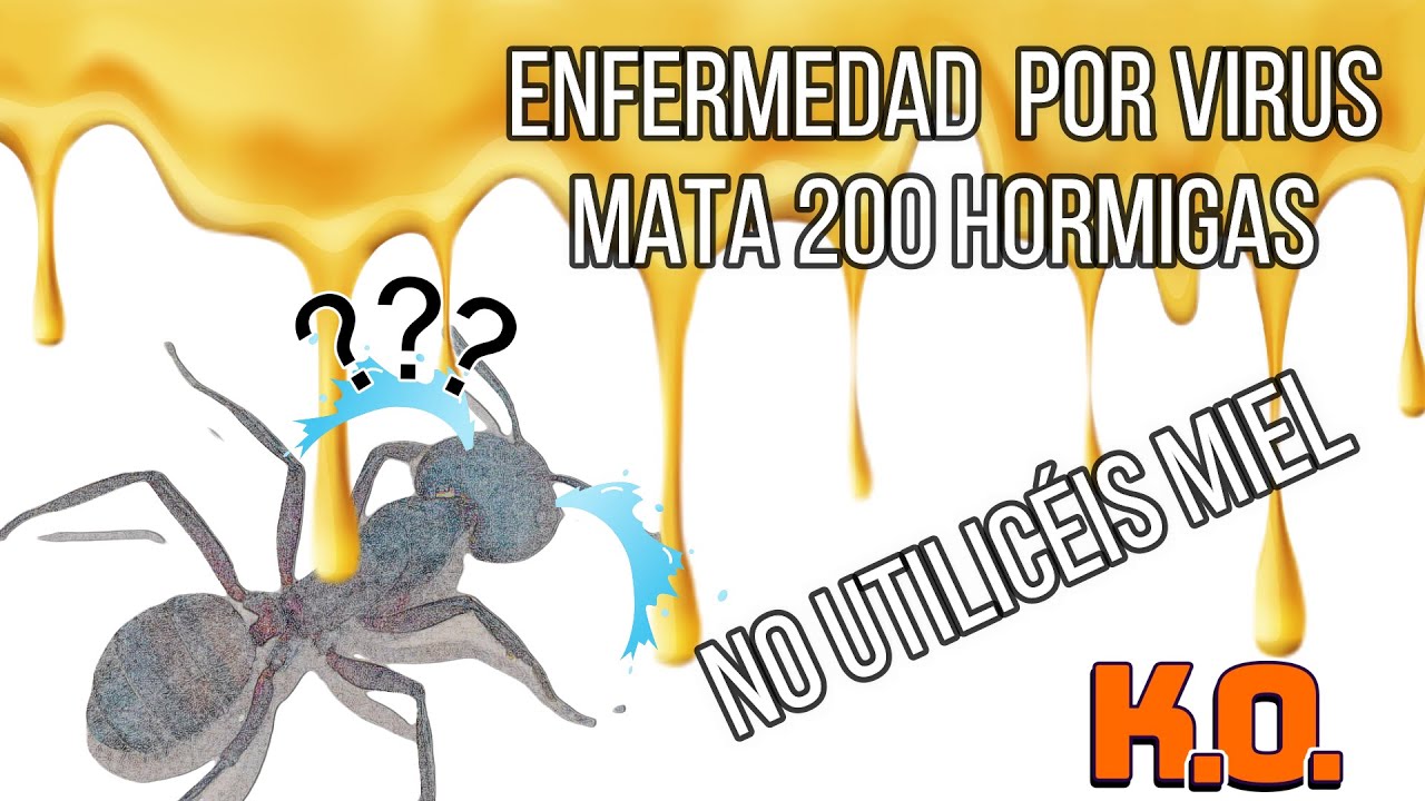 La enfermedad☠️ ''de la miel ''🍯 casi MATA a TODA mi colonia.