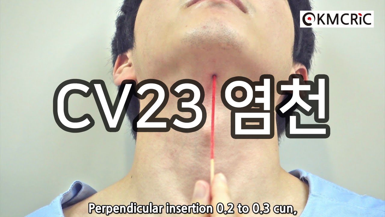 CV23 염천 廉泉 Lianquan (Eng sub) - KMCRIC WHO Standard acupoint DB