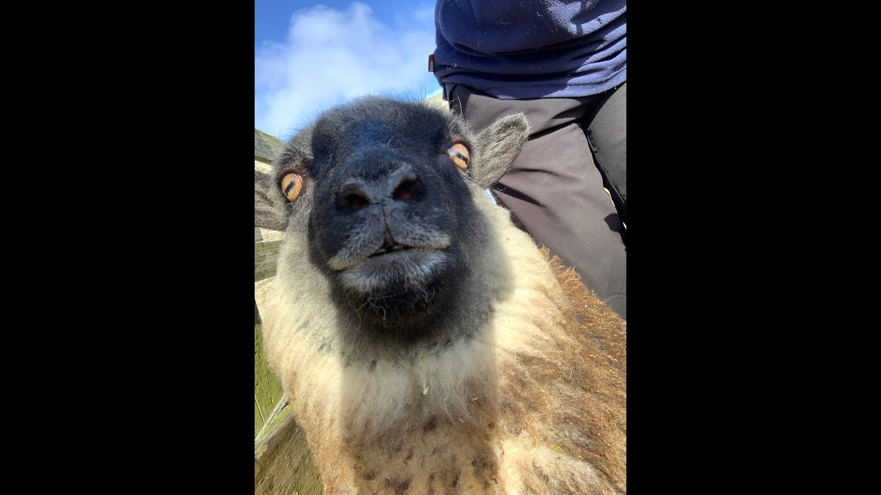 Fair Isle through a lens - Episode 33