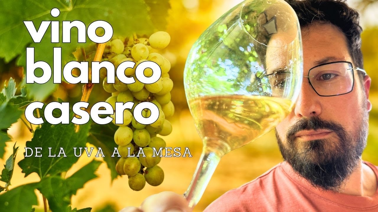 Cómo hacer VINO BLANCO casero (Trucos sencillos)