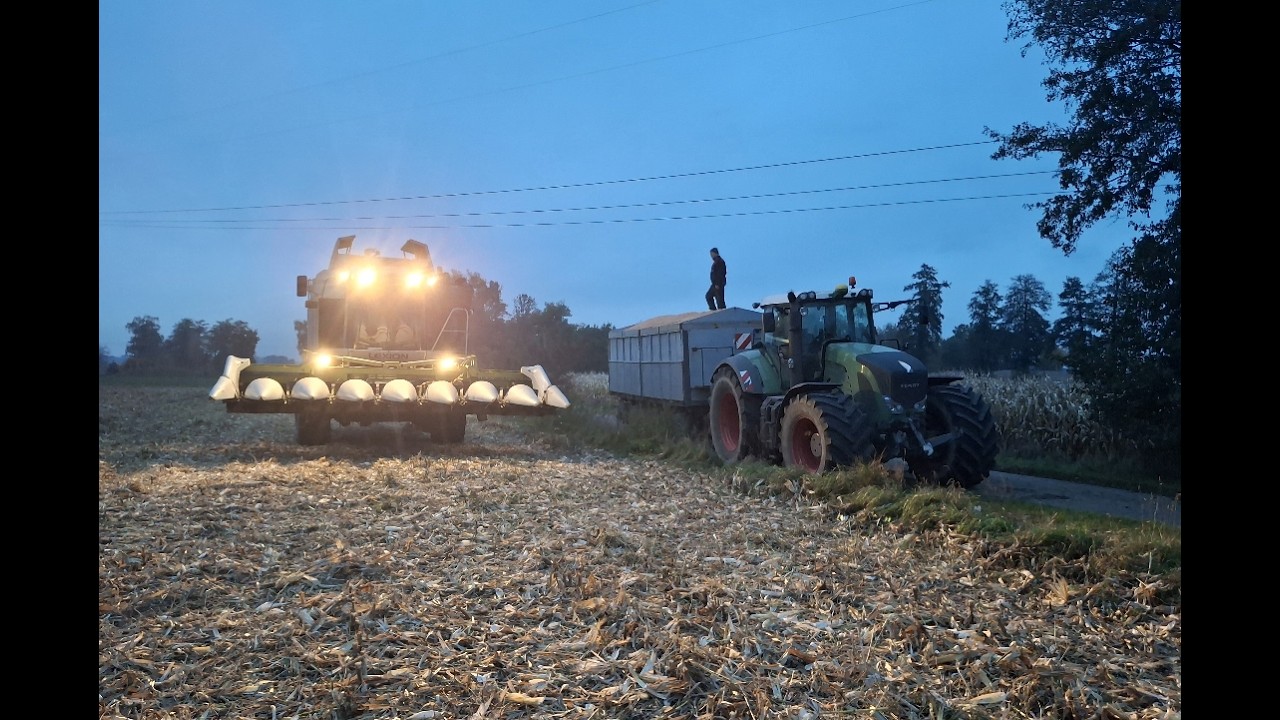 🇵🇱🔥Kukurydza na ziarno 2025🔥Gr Kalinowski 🔥Claas🔥 Fendt 🔥JohnDeere🔥