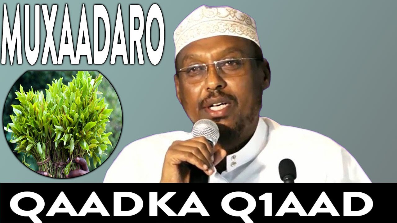 MUXAADARO QAADKA IYO WAXYEELLADIISA QEYBTA 1AAD - SHEEKH MUSTAFE