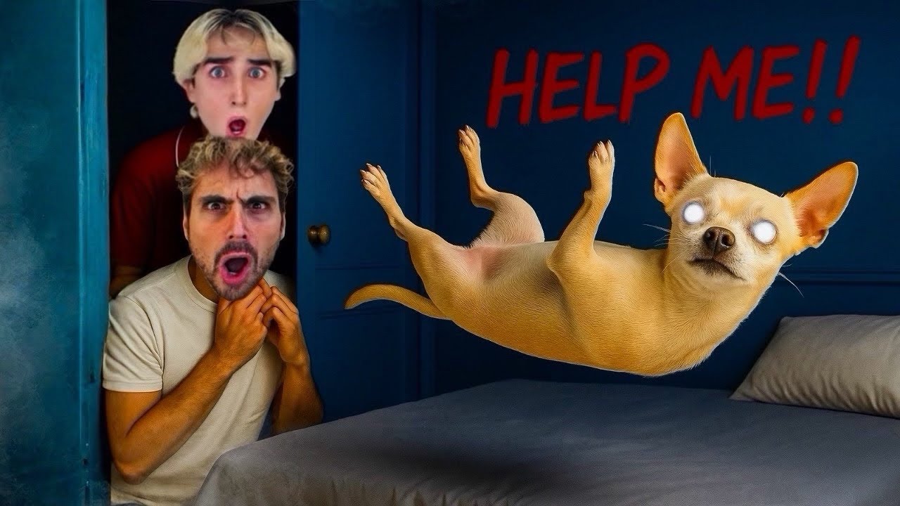 HOPE È POSSEDUTO? 😭😱