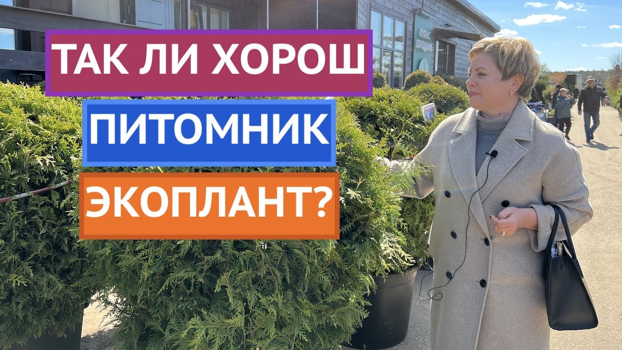 МОЕ ПУТЕШЕСТВИЕ В САМЫЙ НАШУМЕВШИЙ ПИТОМНИК МОСКВЫ!