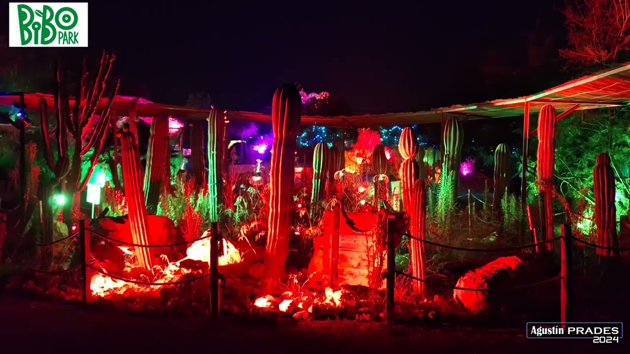 Astro Magic Lights, Bibo Park Ibiza con Agustin Prades 2024-08-23