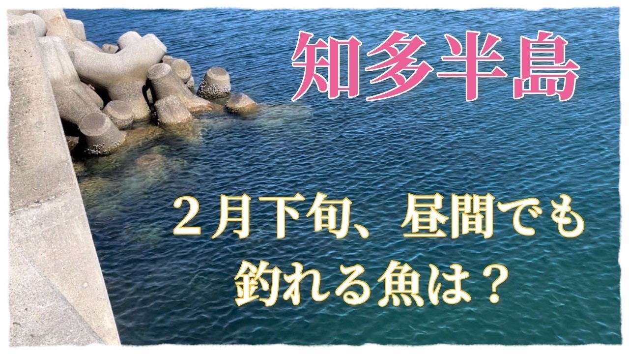 日中の魚捕獲作戦‼️ 豊浜漁港と、とある漁港でなんとかして釣る　2026.02.28