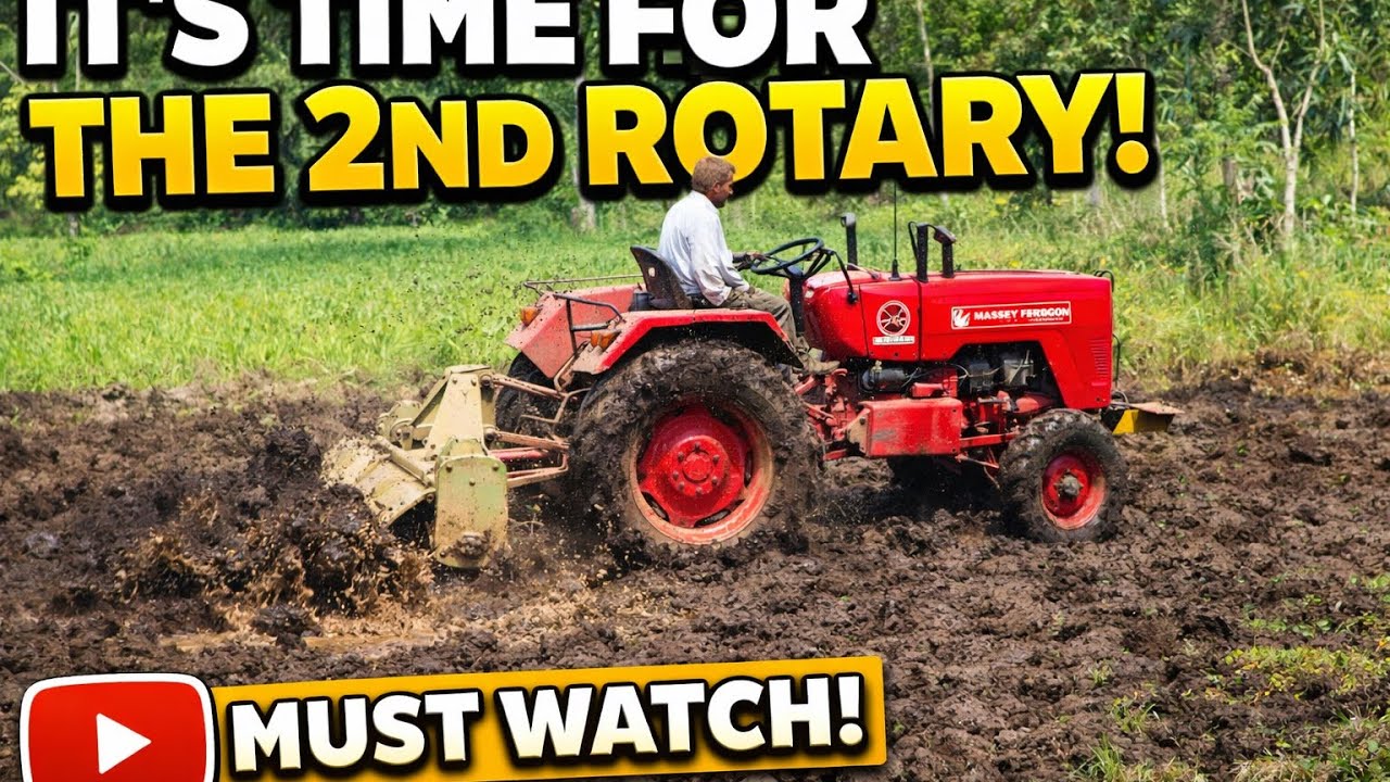 Part 2 of our venture😎😎 please follow and support for more!!! #viral #automobile #farming #vlog 
