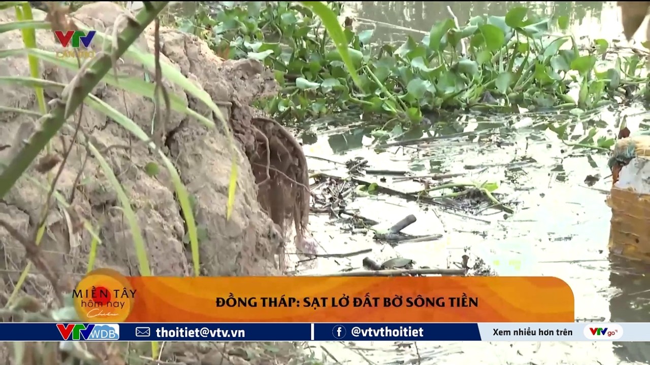 Đồng Tháp sạt lở đất bờ sông Tiền | VTVWDB