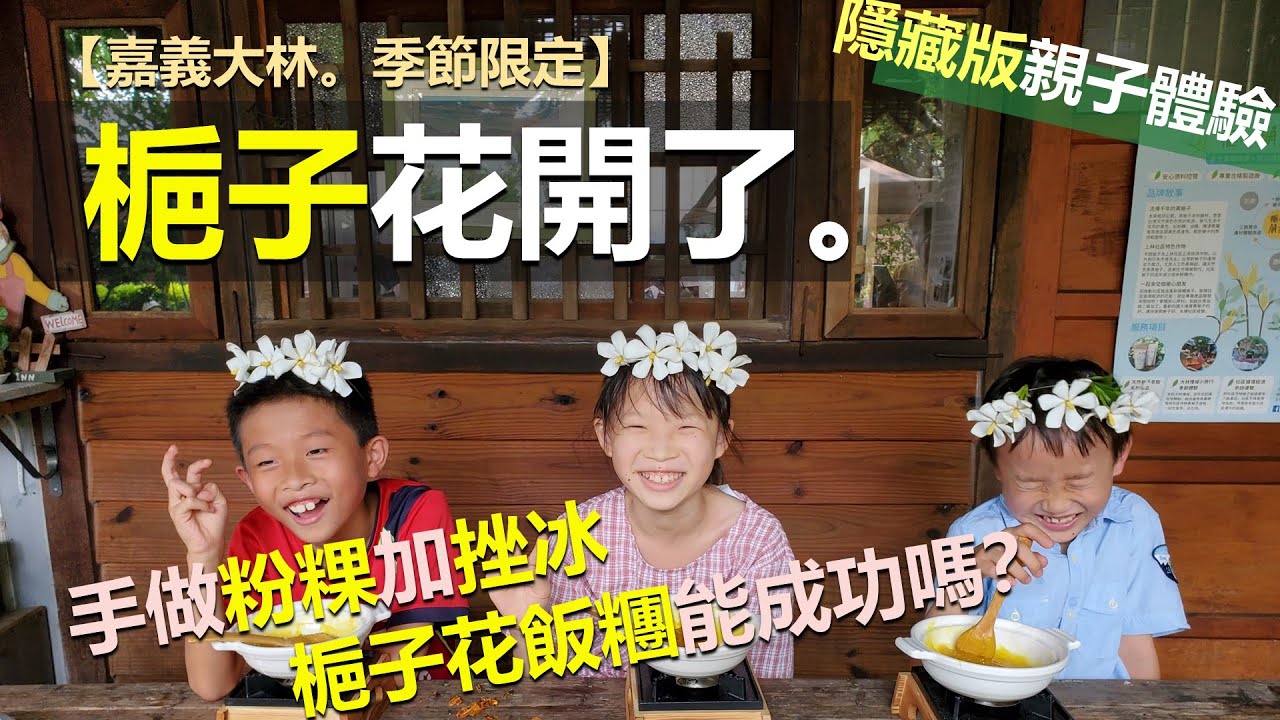 親子體驗l梔子花手做體驗🌼純白潔淨的梔子花 可食用  當染料  Q彈的粉粿也是用梔子做成的喔!🤗