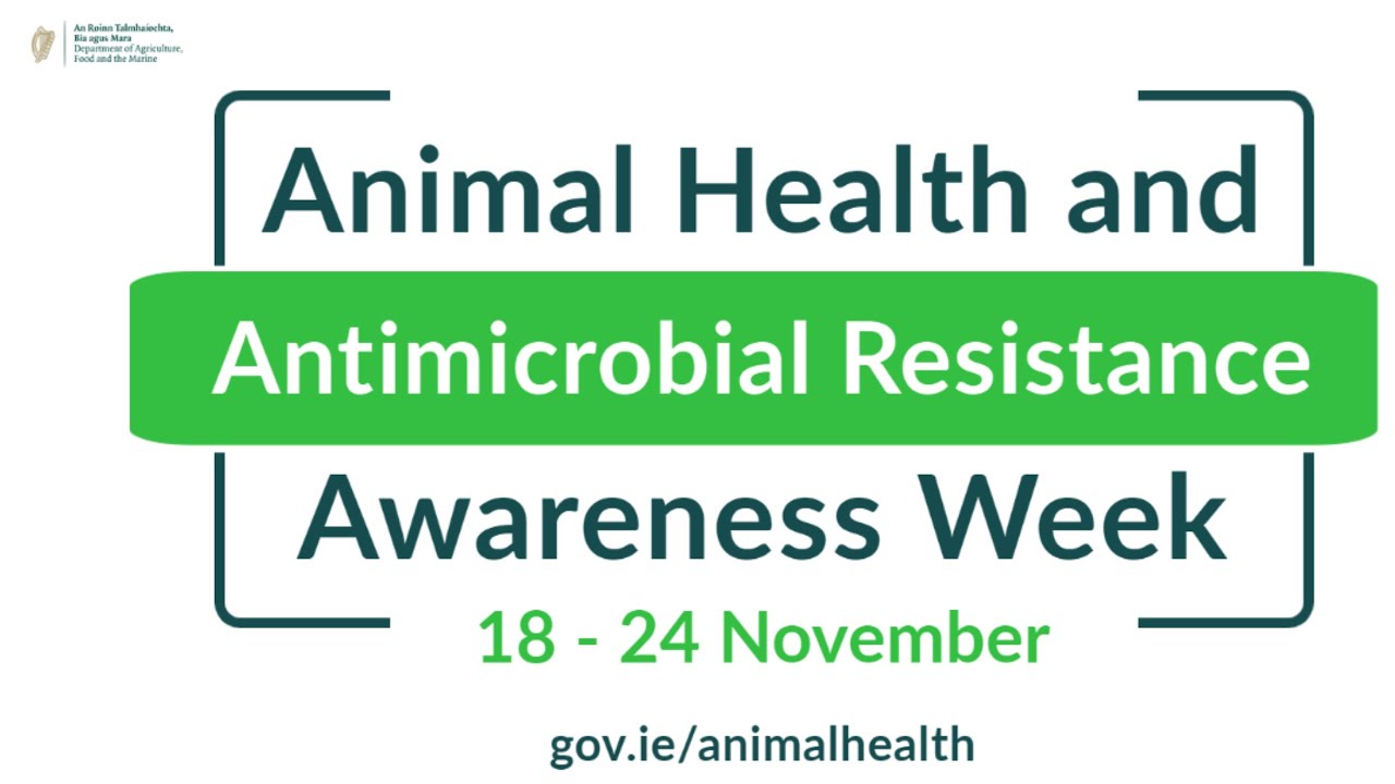 Animal Health and Antimicrobial Awareness week 2021 - part one of Nov 18 on Antimicrobial Resistance