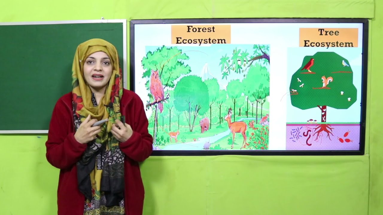 GK Grade 3 Unit 10 lecture 5 || SNC 2020 ||