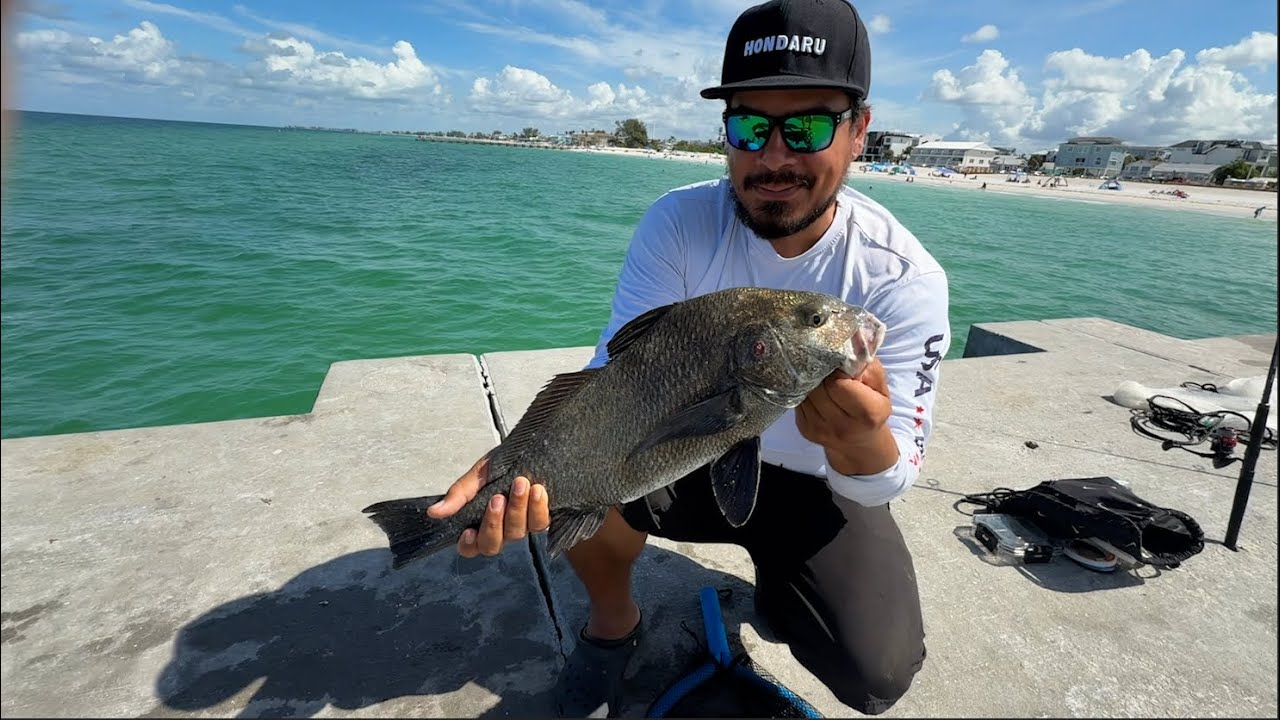 Catch Clean Cook  BLACK DRUM! Bradenton FLORIDA