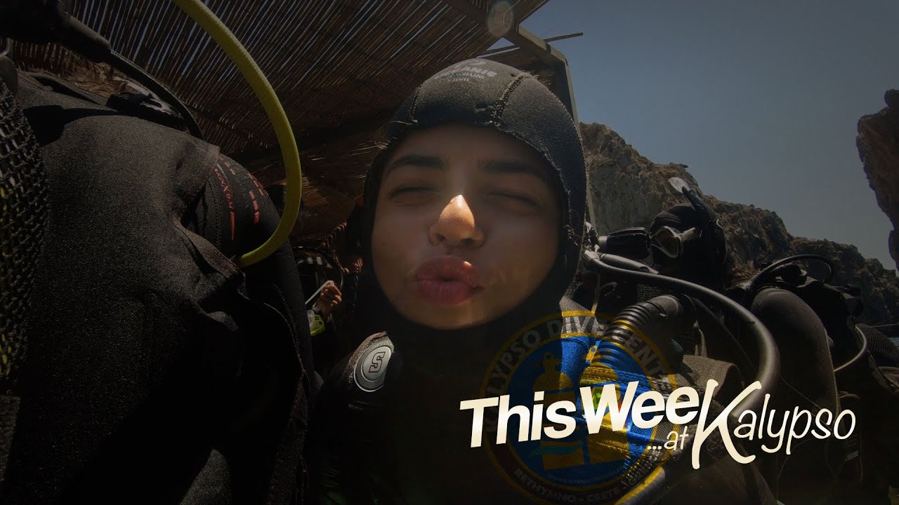 This Week at Kalypso #2