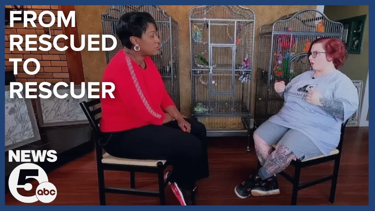 10 years after being rescued from Seymour Avenue, Lillian Lee now rescues animals