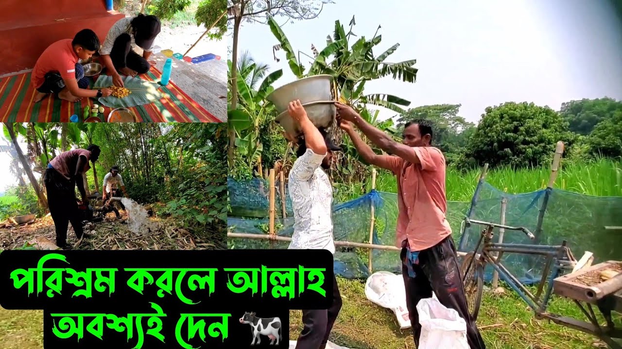 পরিশ্রম করলে আল্লাহ অবশ্যই দেন 🐄