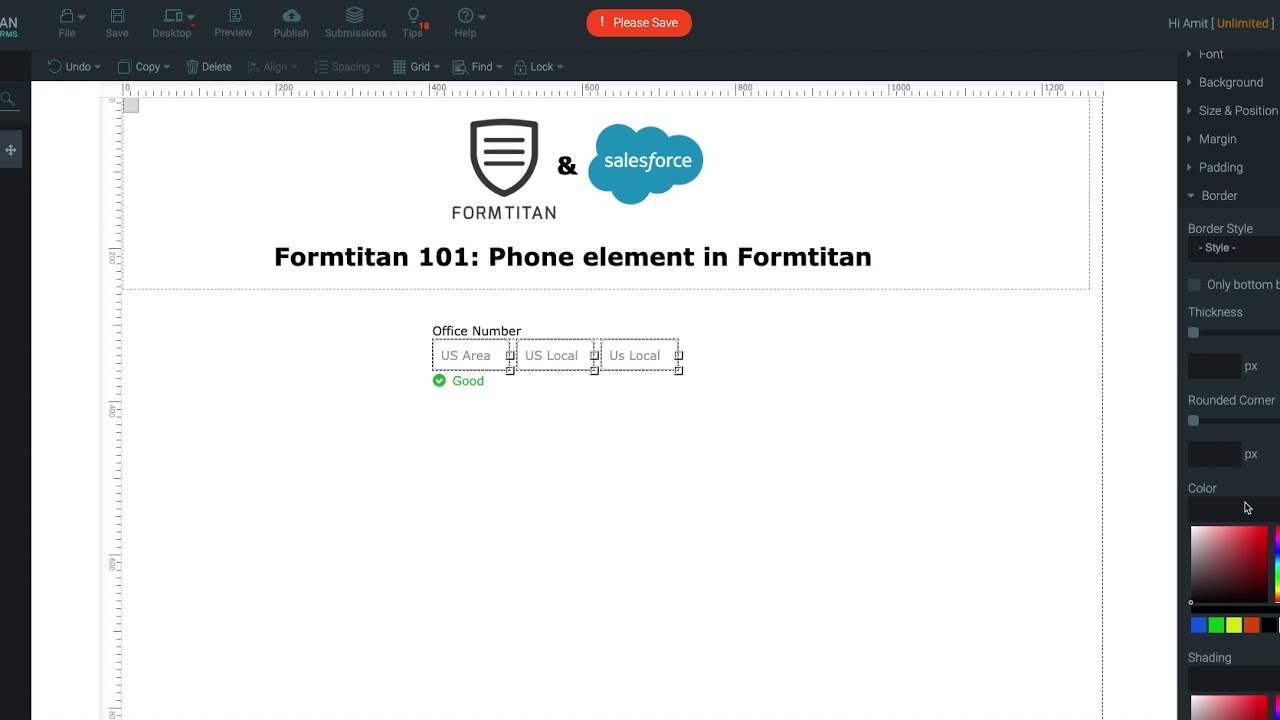 Capture any phone number using phone element