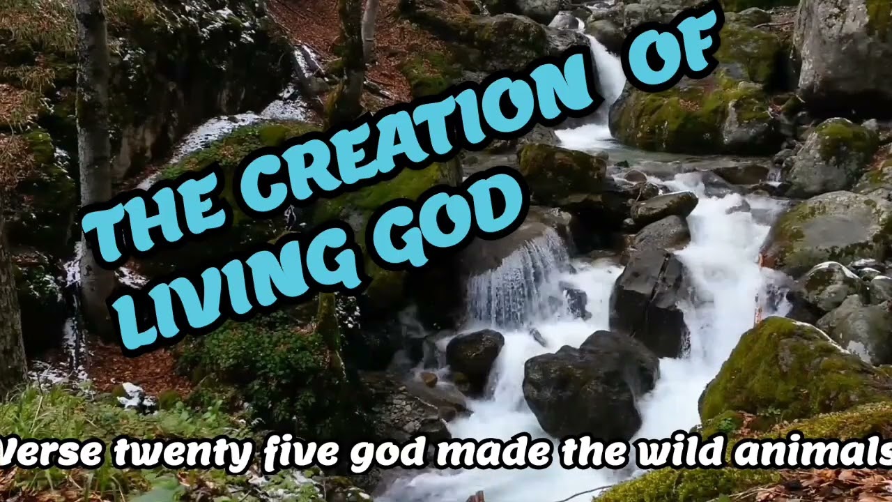 CREATION OF LIVING GOD 
