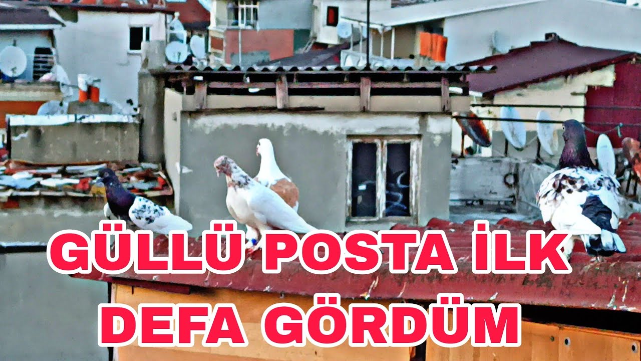 GÖRE BİLECEĞİZ EN DEĞİŞİK KAÇAK KUŞU ÇEKTİM