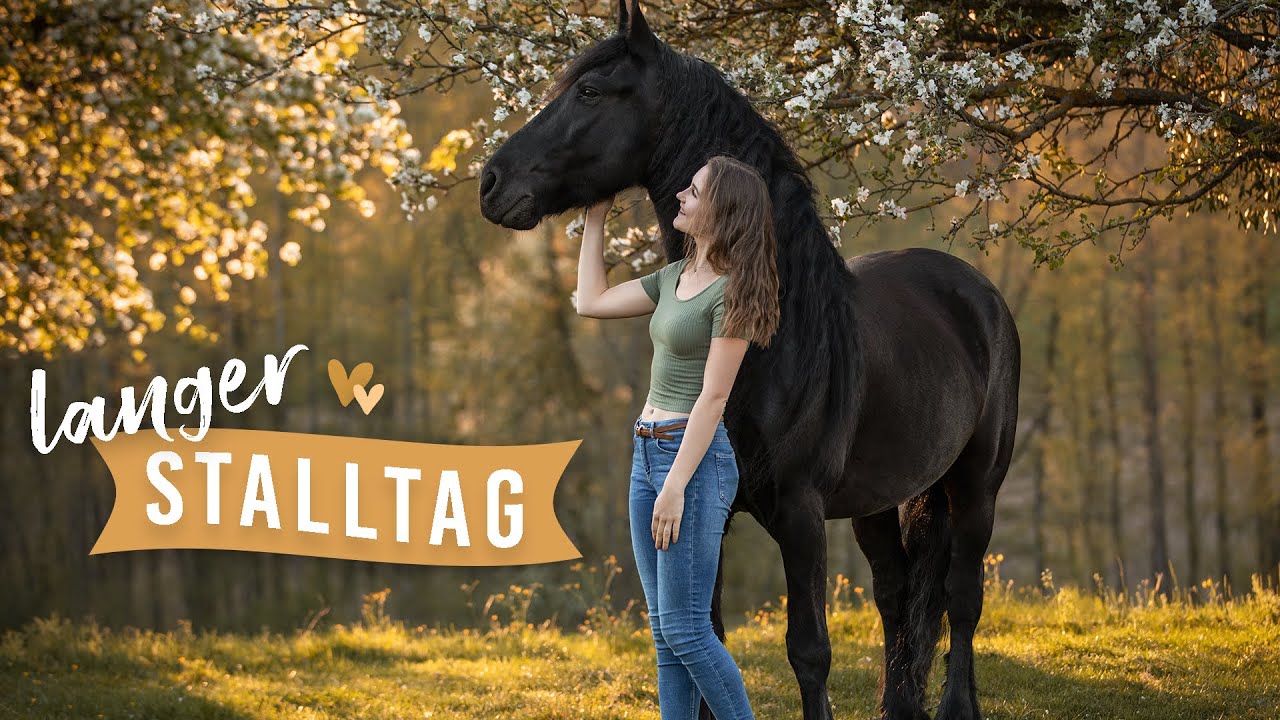 XXL STALLTAG | M&auml;hne schneiden, Waschtag, Ausritt | VLOG 44 | Pilsali